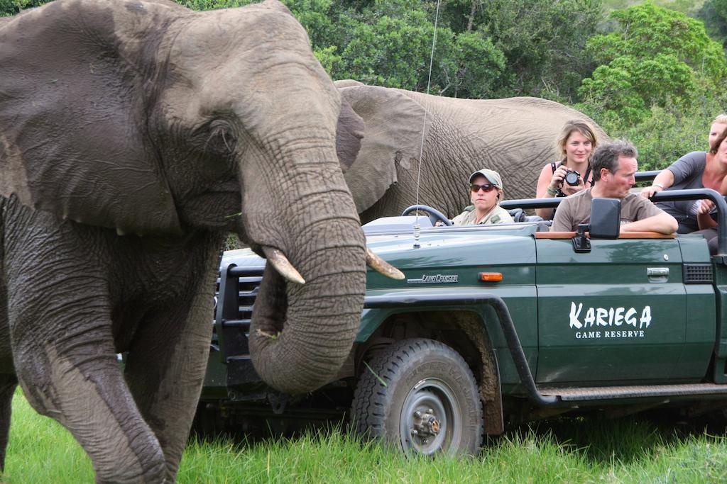 Kariega Game Reserve Main Lodge Кентън он Сий Екстериор снимка